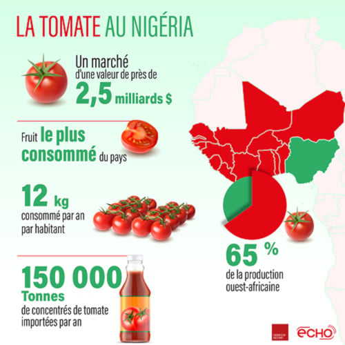 tomate au nigeria