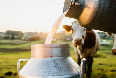 Kenya : la filière lait a établi un nouveau record de production en 2025