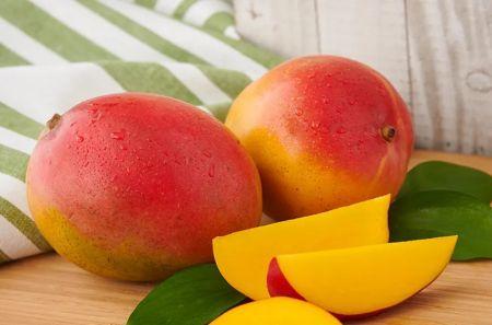 Mangue au Sénégal : une campagne 2026 mieux maîtrisée, mais des risques encore présents