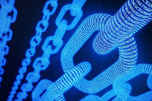 1 Blockchain Chains WEB