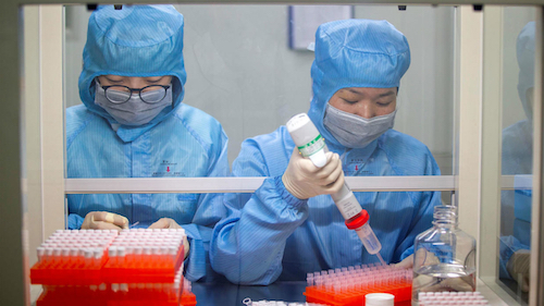 1 coronavirus wuhan vaccin m