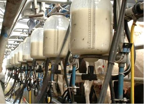 1 lait