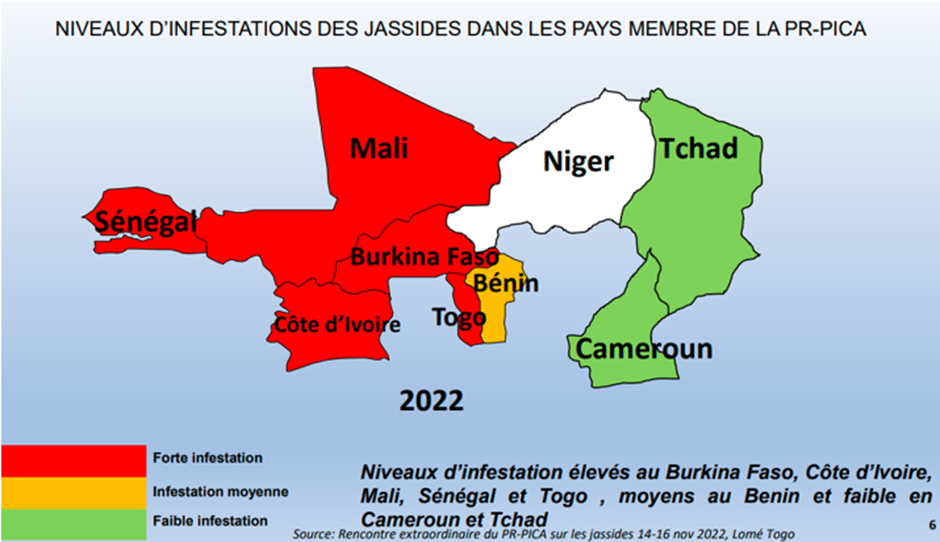 1 niveau