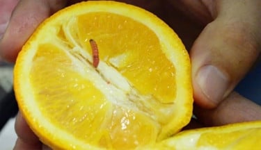 1 orange