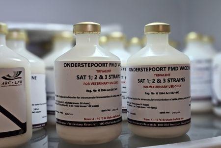 L’Ouganda prépare sa première campagne de vaccination contre la fièvre aphteuse