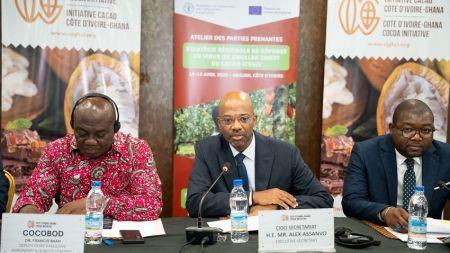 Cacao : la Côte d’Ivoire et le Ghana s’unissent pour lutter contre le swollen shoot