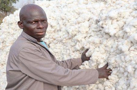 Afrique de l’Ouest : à Lomé, la filière coton face au défi de productivité