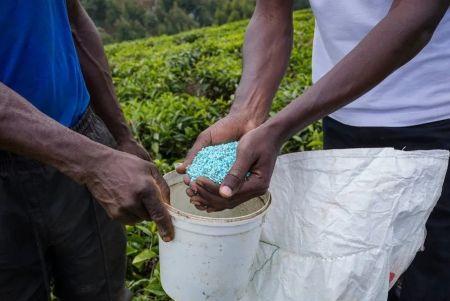 Après le pétrole, le spectre d'une crise mondiale des fertilisants à Ormuz