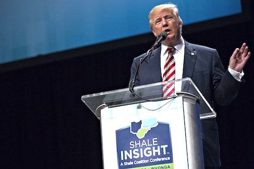 1donald trump gas