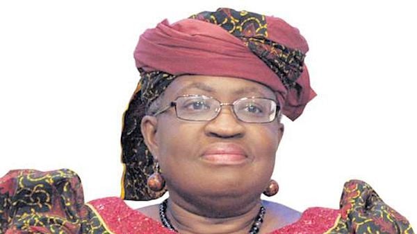 1Nogzi