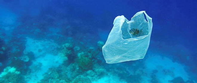 1plastique ocean