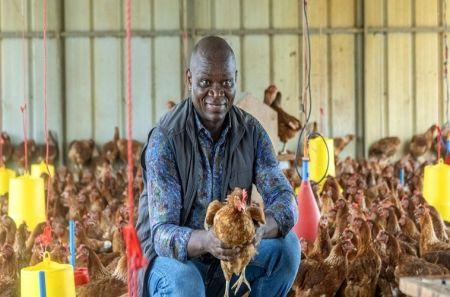 Poulet : au Gabon, l’interdiction des importations ouvre un front commercial avec les États-Unis