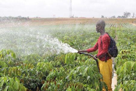 Le Bénin renforce ses filières techniques pour industrialiser l’agriculture