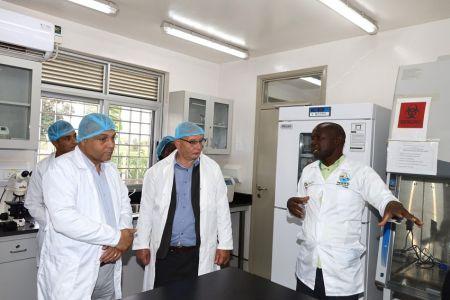 L’Ouganda prépare une unité de vaccins vétérinaires contre la fièvre aphteuse