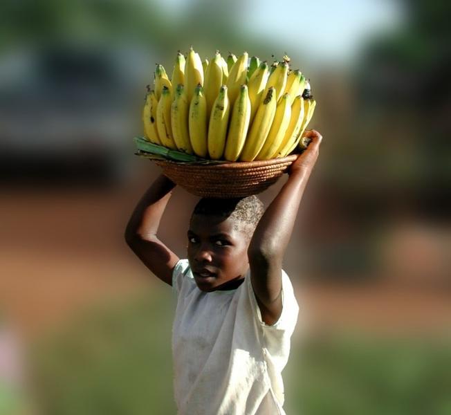 2banane afrique