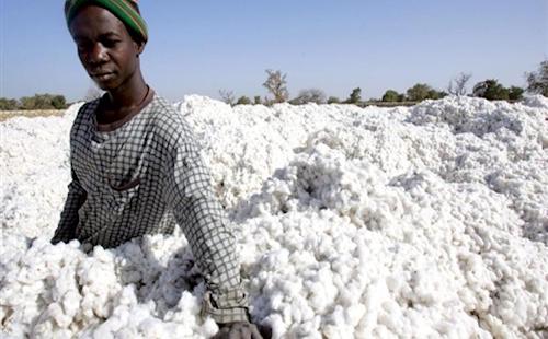 2Coton 0