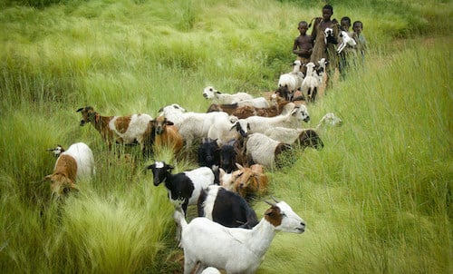 2land ghana