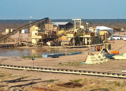 2Lulo Plant