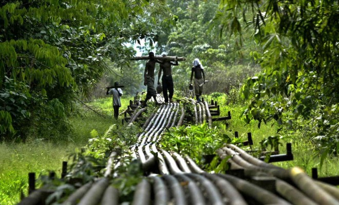 2niger delta