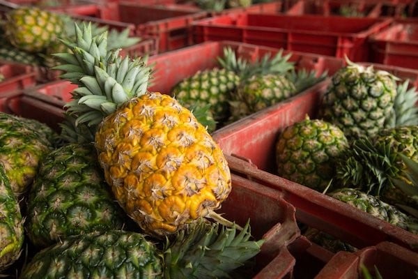 3 les fruits