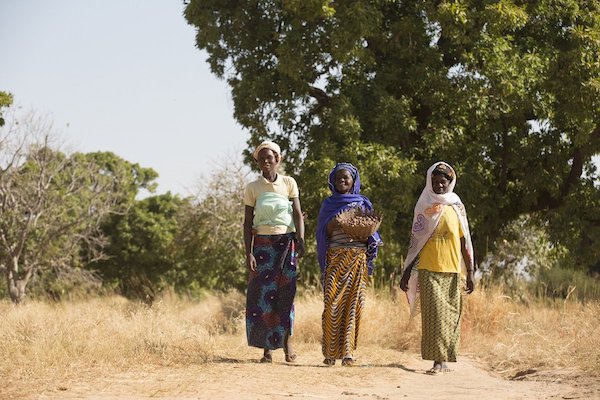 3femmes karité
