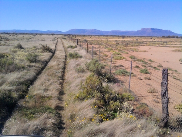 3Karoo