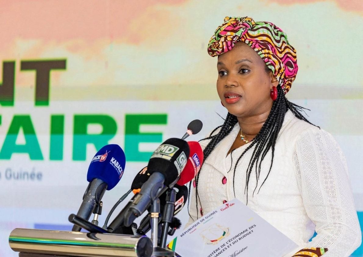 La Guinée propose un taux d’intérêt de 11 % sur 5 ans pour lever 284 millions $