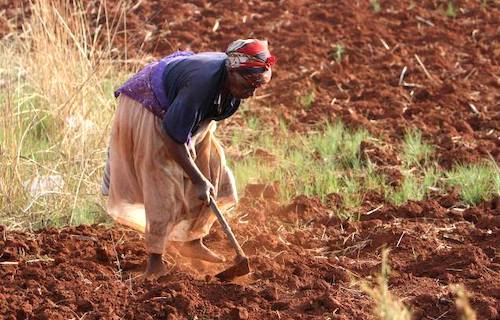4agriculture in africa