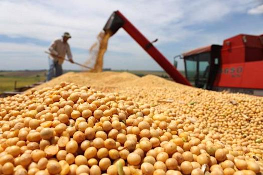 4News BR Soya de brasil
