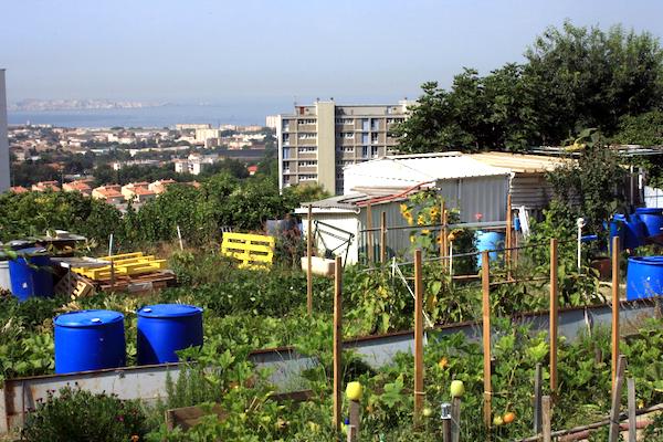 5agro urbaine