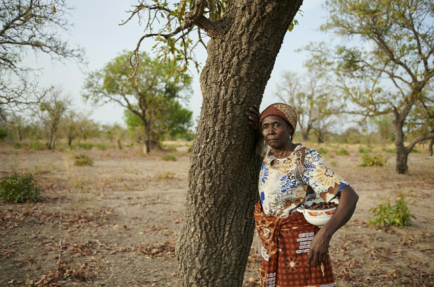 5arbre femme karité 2020&nbsp;04&nbsp;29&nbsp;11&nbsp;10&nbsp;15&nbsp;2020&nbsp;04&nbsp;29&nbsp;11&nbsp;27&nbsp;35