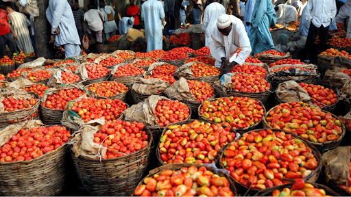 5tomates