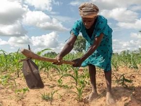 zimbabwe-british-international-investment-mobilise-50-millions-pour-financer-l-agriculture