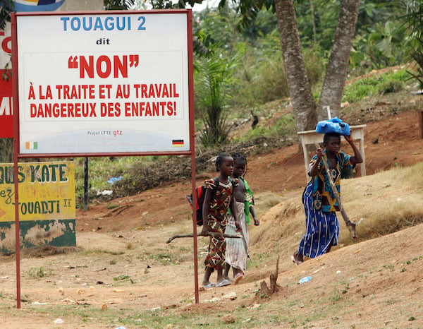 6campagne2