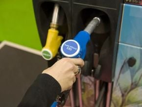 la-nouvelle-ruee-vers-les-biocarburants-menace-la-securite-alimentaire-mondiale-chatham-house