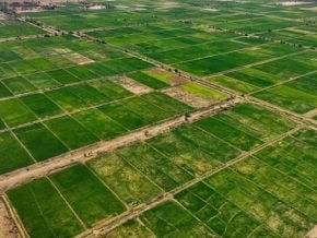 du-nigeria-a-la-namibie-l-ia-et-les-satellites-gagnent-du-terrain-dans-l-agriculture