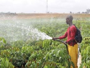 le-benin-renforce-ses-filieres-techniques-pour-industrialiser-l-agriculture