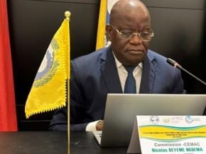 la-cemac-veut-mieux-evaluer-ses-capacites-et-son-potentiel-energetiques
