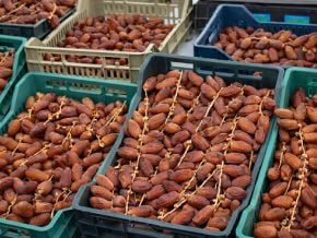 le-top-5-des-pays-africains-exportateurs-de-dattes-en-volume