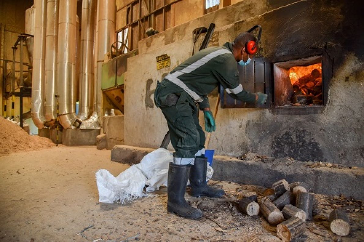 La valorisation des d&eacute;chets monte en puissance pour alimenter en &eacute;nergie l&rsquo;industrie kenyane
