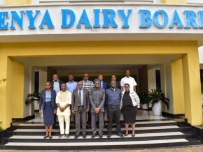 le-nigeria-veut-s-inspirer-du-modele-kenyan-pour-renforcer-sa-filiere-laitiere