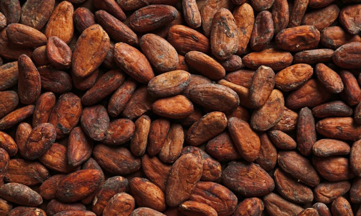 Cacao : le Ghana fixe un prix bord champ supérieur de 75 % à celui de la Côte d’Ivoire