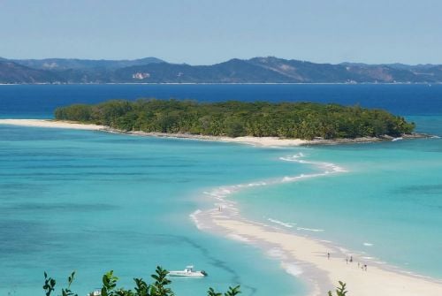 reserve-de-lokobe-l-ecrin-vert-qui-revele-les-tresors-caches-de-madagascar