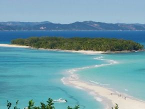 reserve-de-lokobe-l-ecrin-vert-qui-revele-les-tresors-caches-de-madagascar
