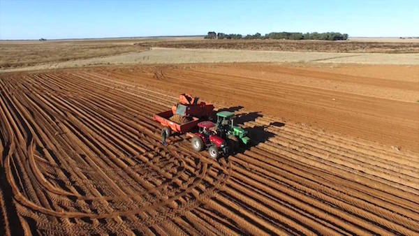farming SAR