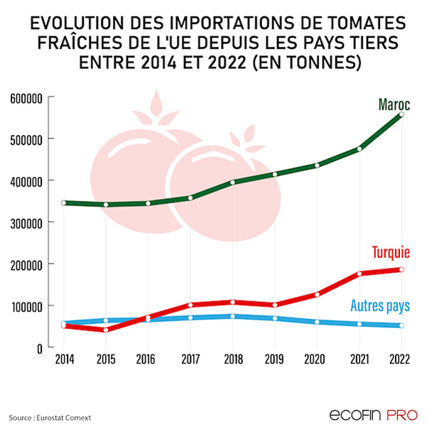 tomate copy