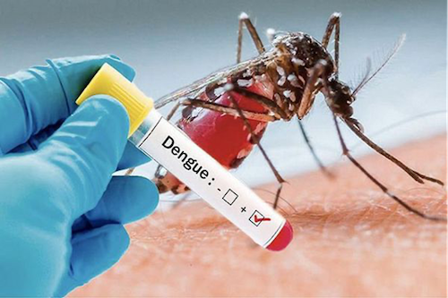 7 la chine supprime les droits de douane sur 98 de produits togolais fet