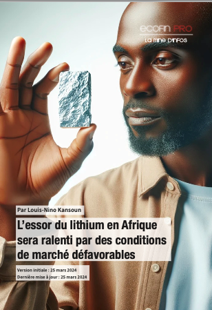 9 prix du lithium risquent de freiner le boom du secteur en afrique rapport wak